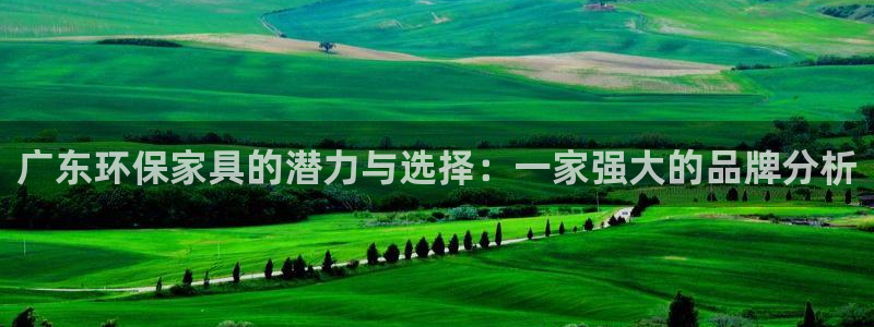 沐鳴2平臺(tái)沒(méi)有了：廣東環(huán)保家具的潛力與選擇：一家強(qiáng)大的品牌分
